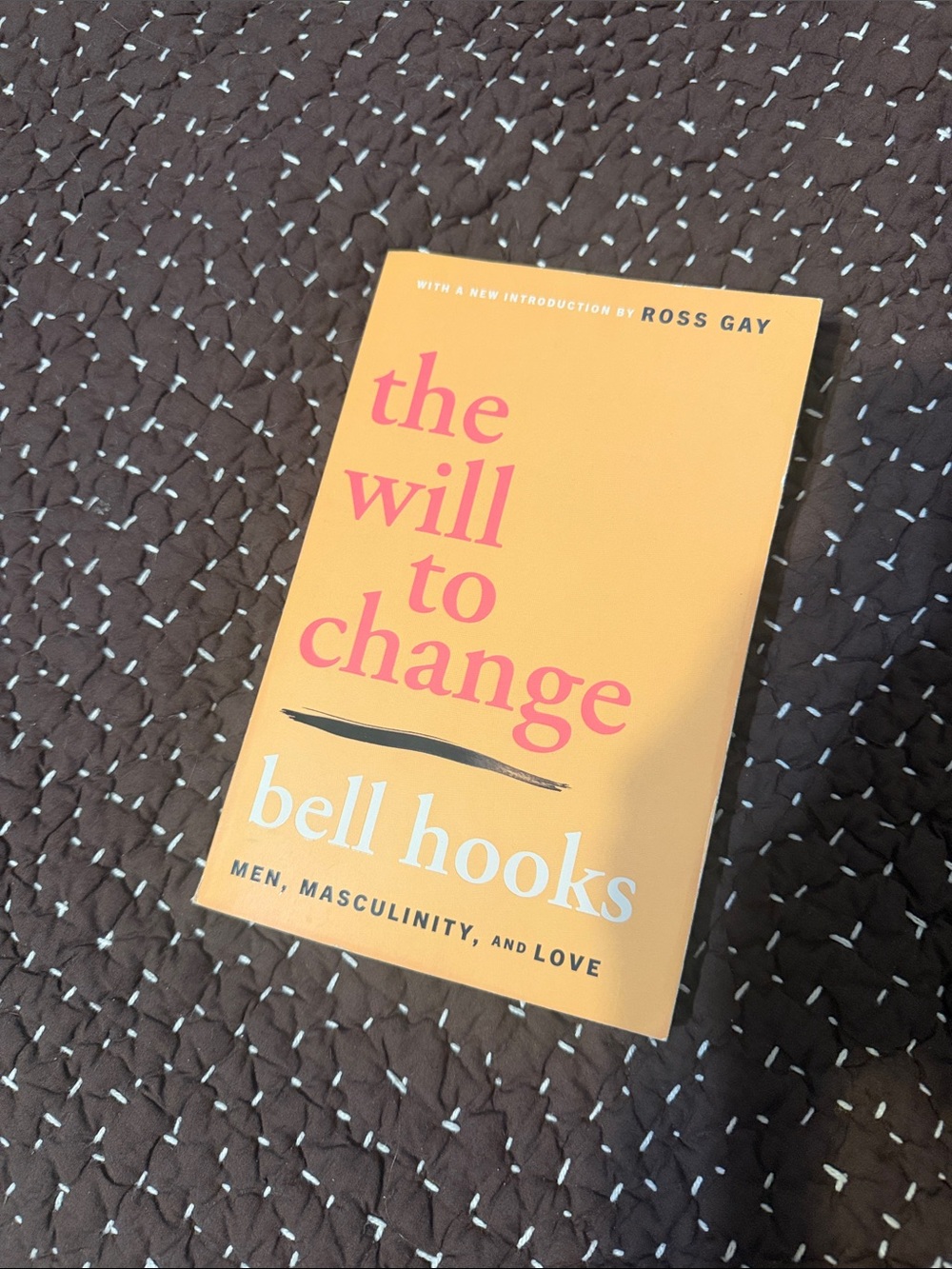 The Will To Change Book By Bell Hooks